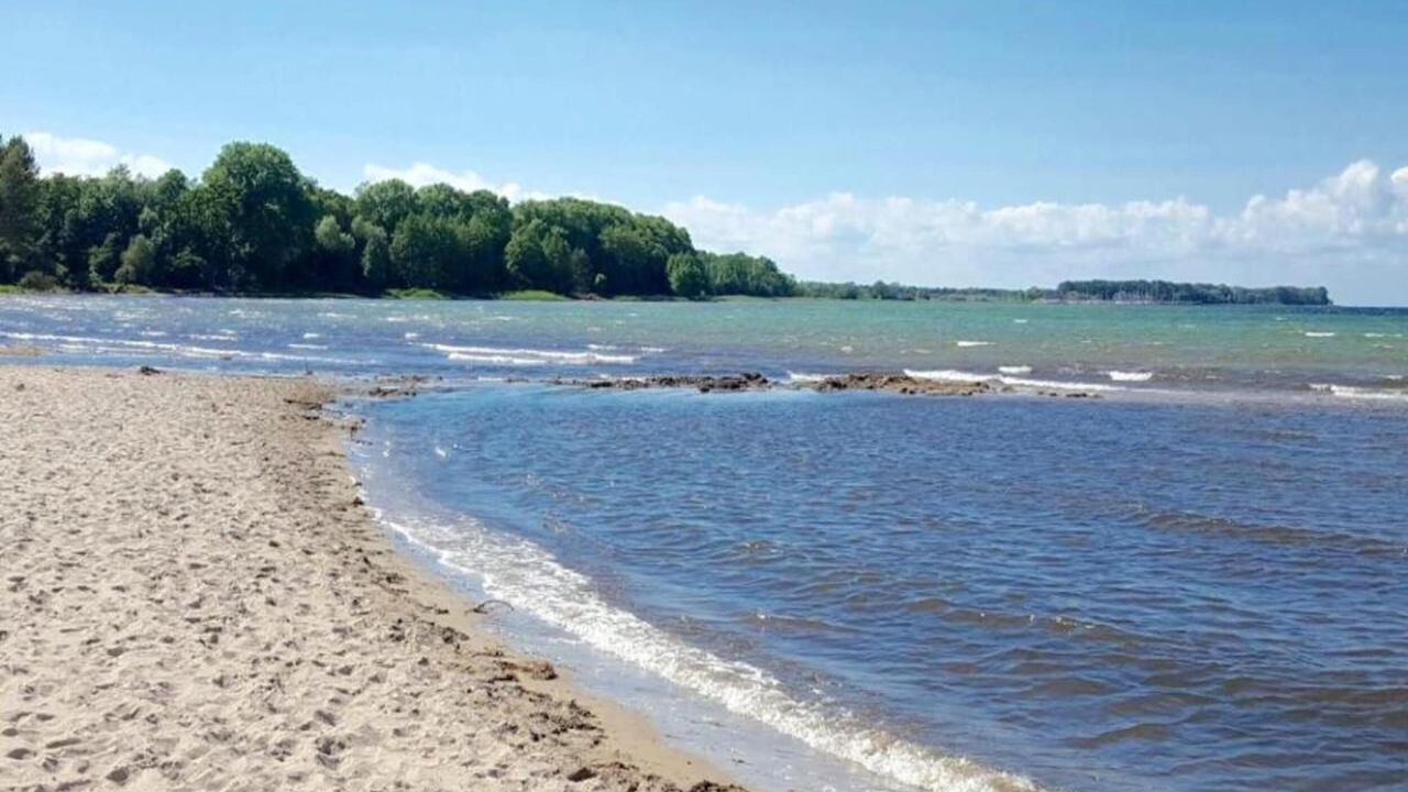 AreaSummer1KM AreaSummer1KM